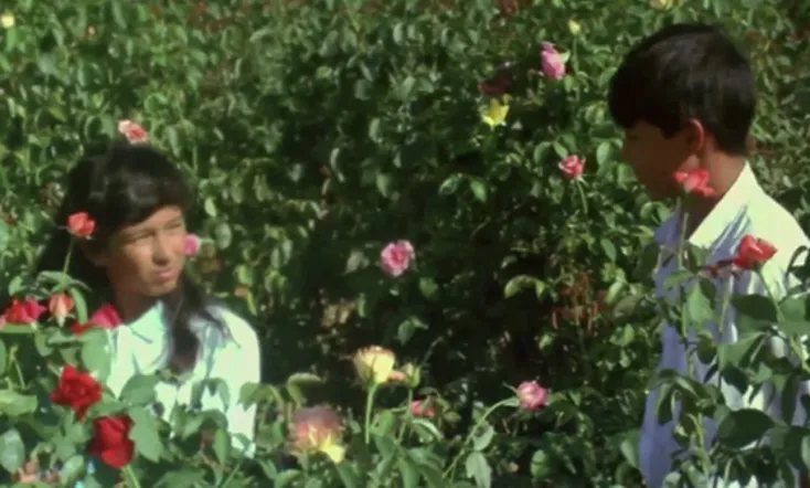 Butterfly and Flowers