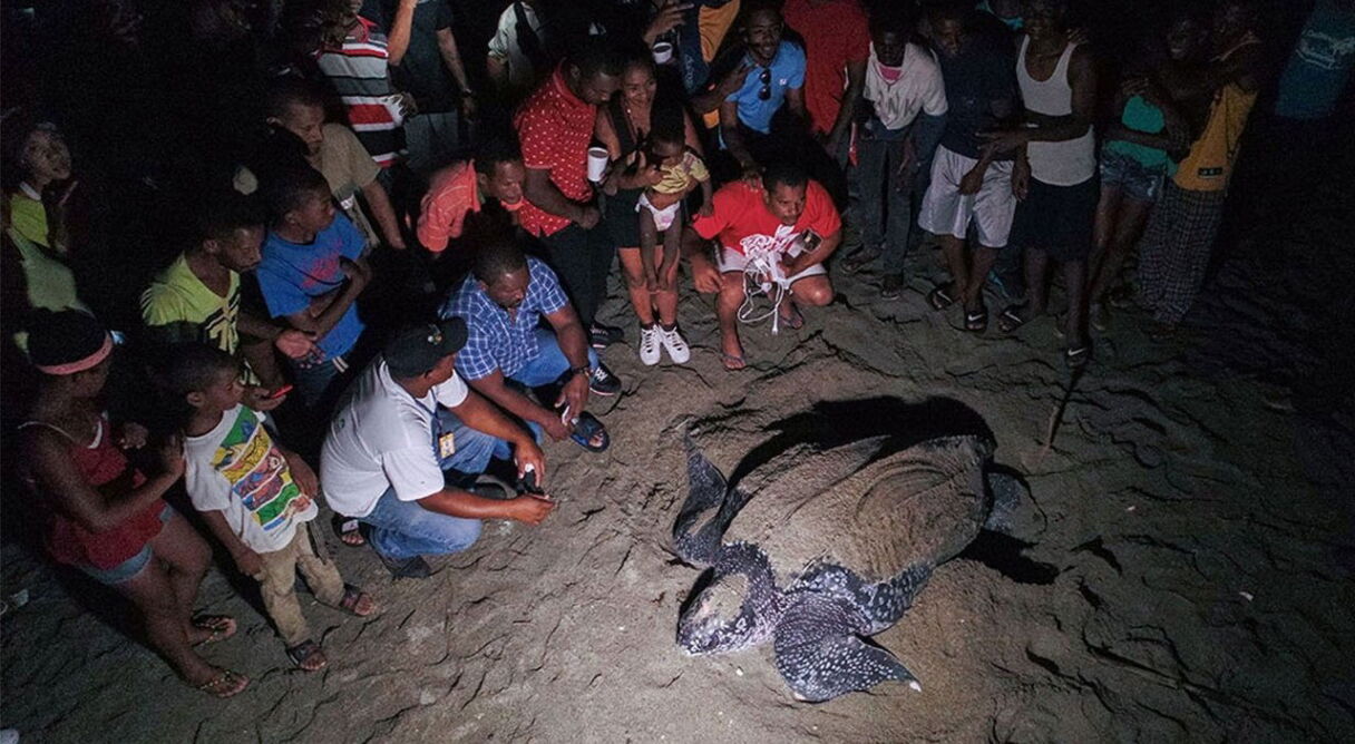 Cacú: Un Cambio Por La Vida