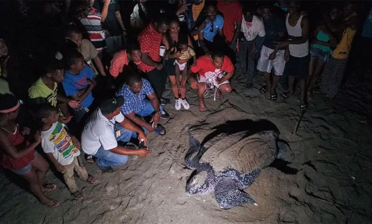 Cacú: Un Cambio Por La Vida