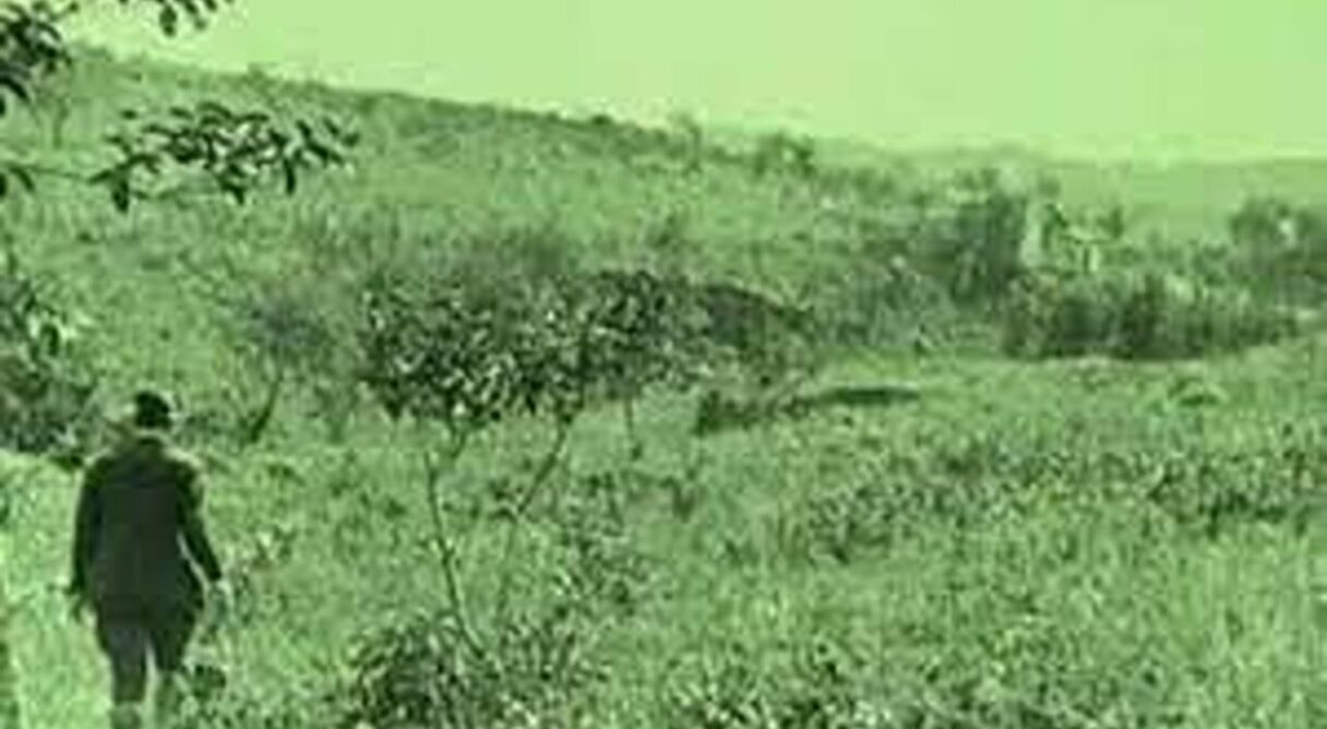 Canção da Primavera