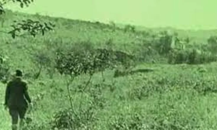 Canção da Primavera