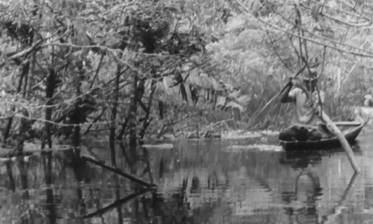 Canción al viejo fisga que acecha en los lagos amazónicos