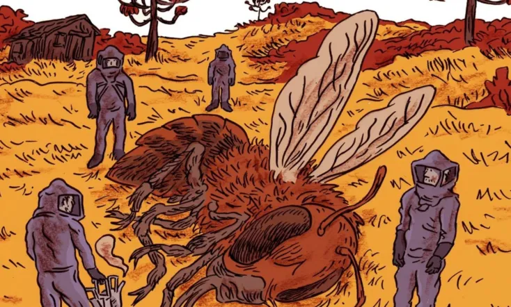 Capotista - Apicultores Clandestinos