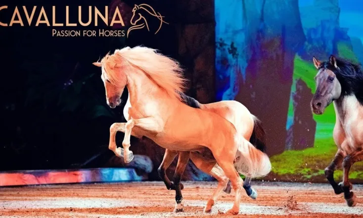 Cavalluna - Welt der Fantasie