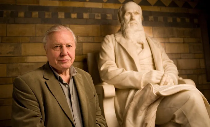 Charles Darwin and the Tree of Life