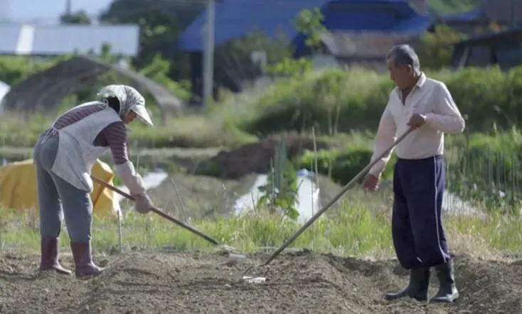 Chernobyl, Fukushima – Living with the Legacy