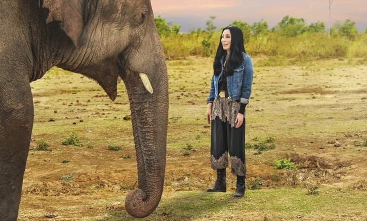 Cher & the Loneliest Elephant