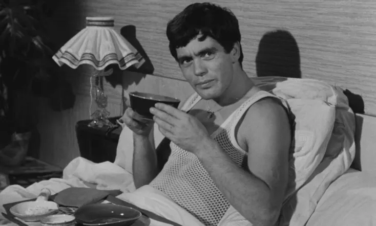 Chicken Feed for Little Birds