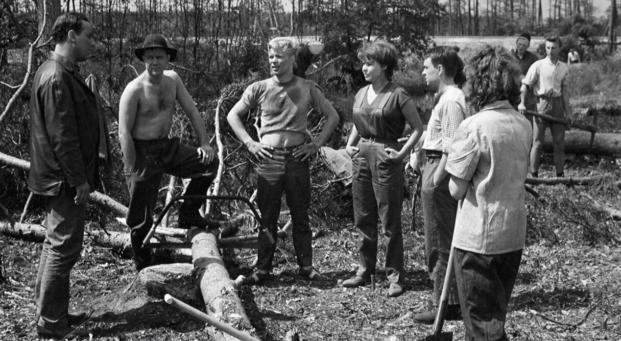 Chronicle of a Summer