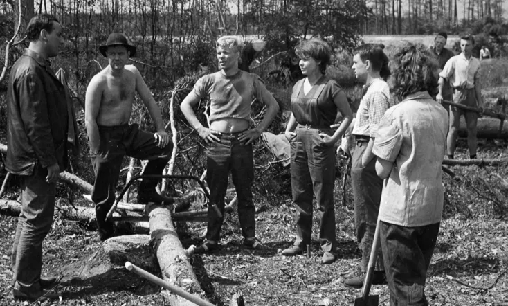 Chronicle of a Summer