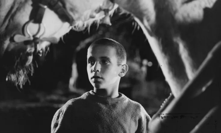 Chronicle of a Boy Alone