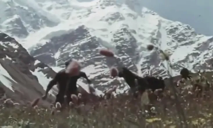 Clouds are Our Umbrellas