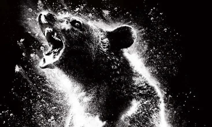 Cocaine Bear