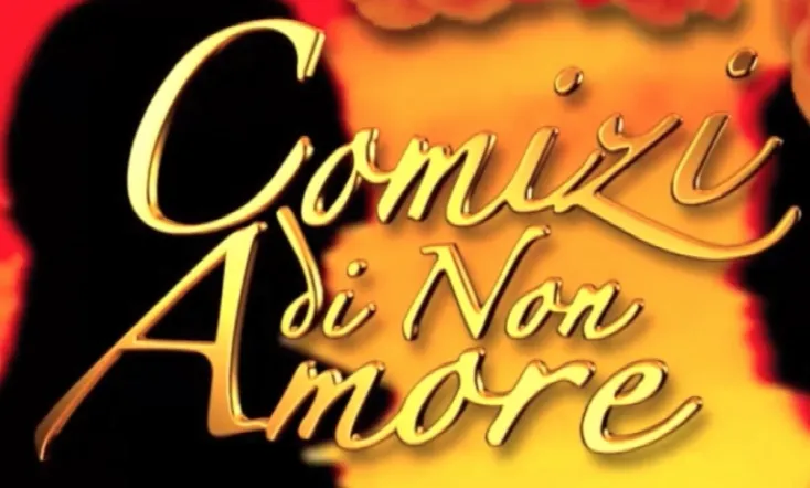 Comizi di Non Amore