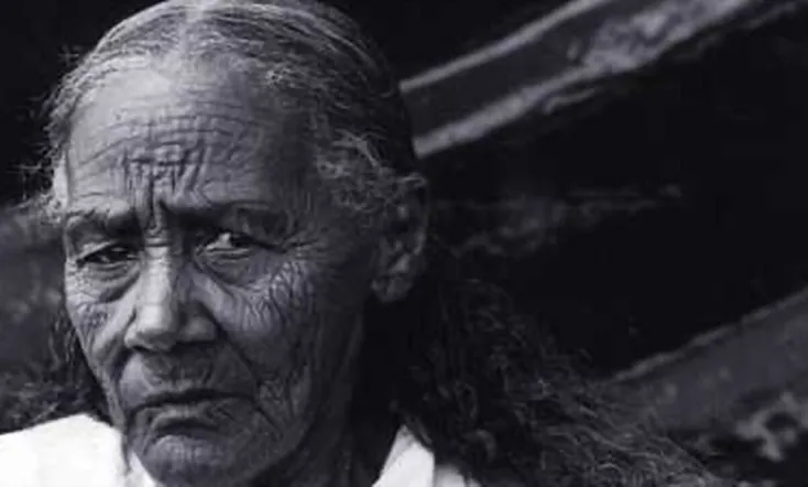 Conterrâneos Velhos de Guerra