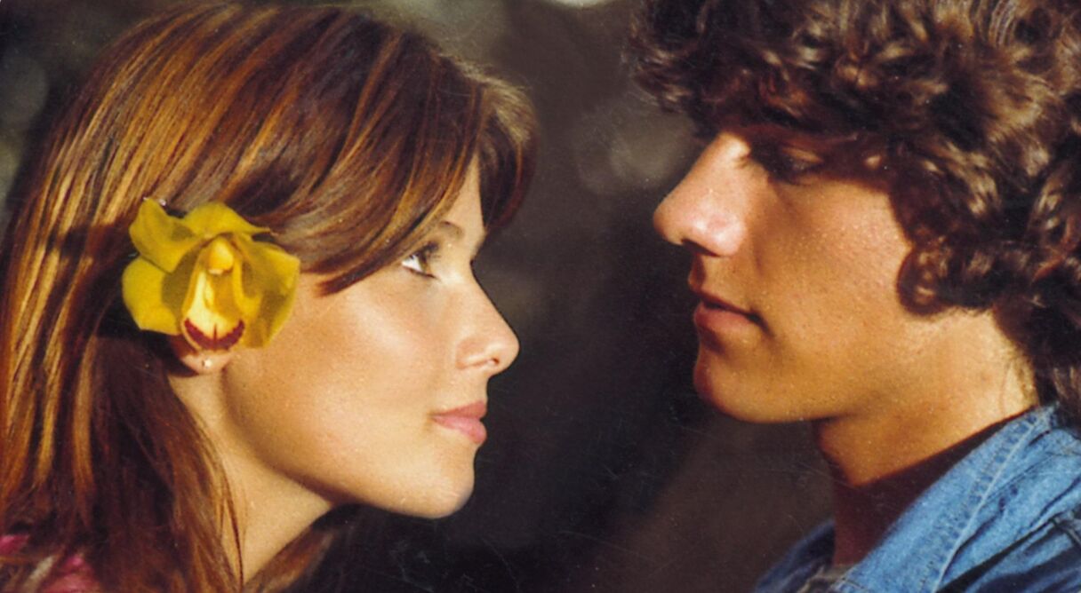 Crazy Jungle Adventure