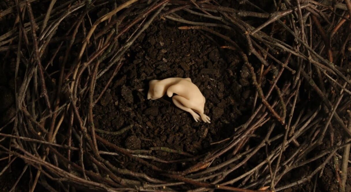 Creatures from the Swamp