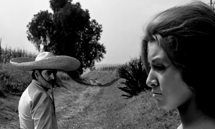 Crosses Over the Wasteland