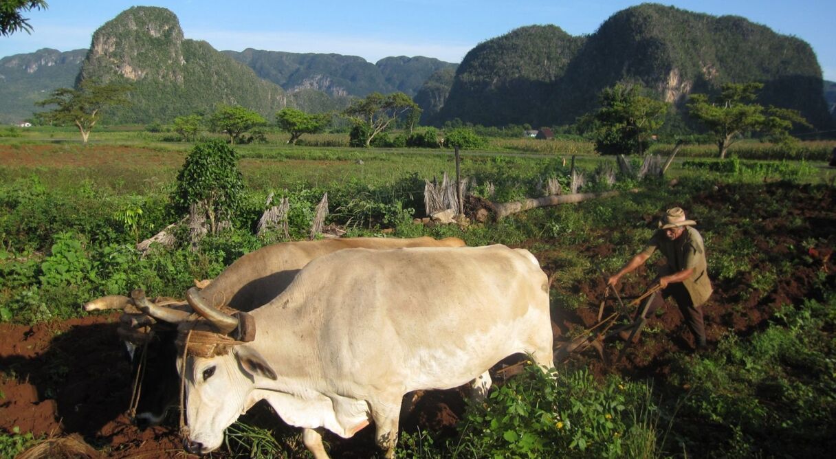 Cuba: The Accidental Eden