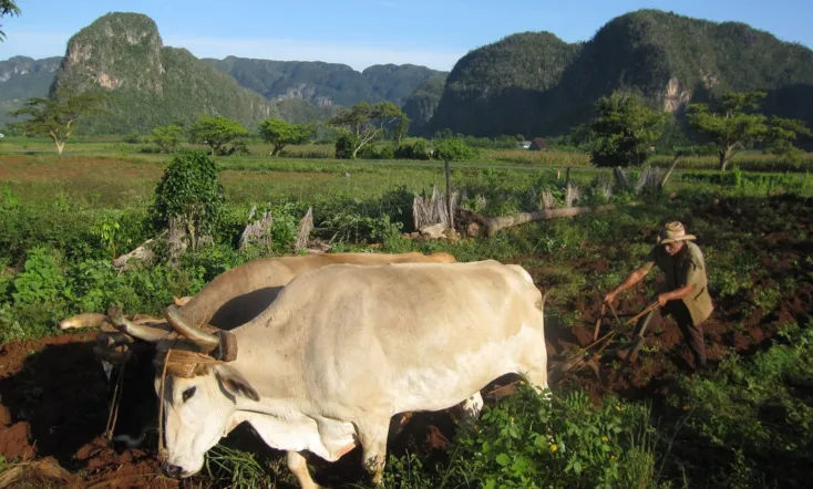Cuba: The Accidental Eden