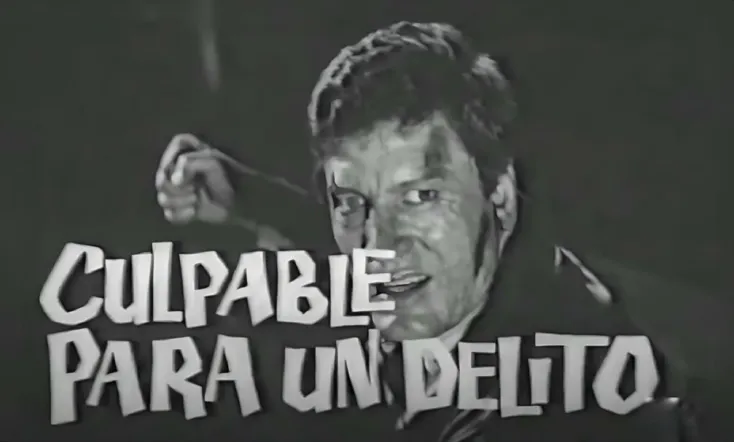 Culpable para un delito