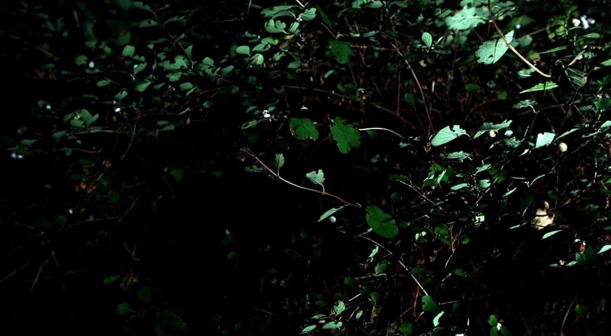 Cyclothymia of a Land