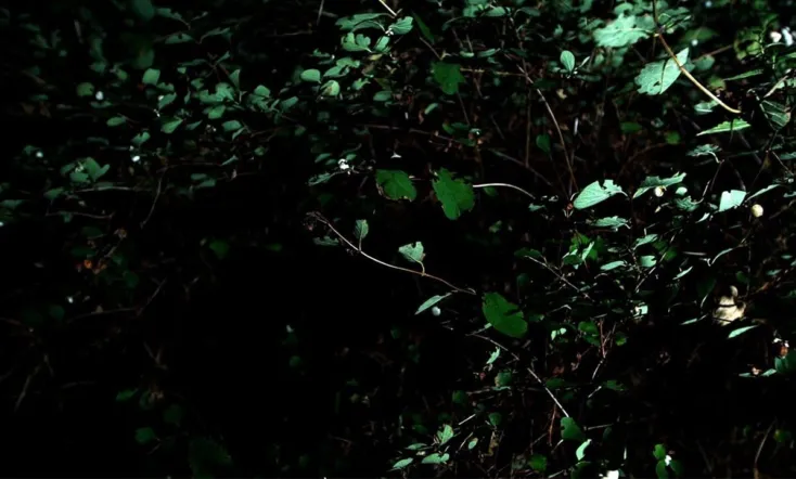 Cyclothymia of a Land