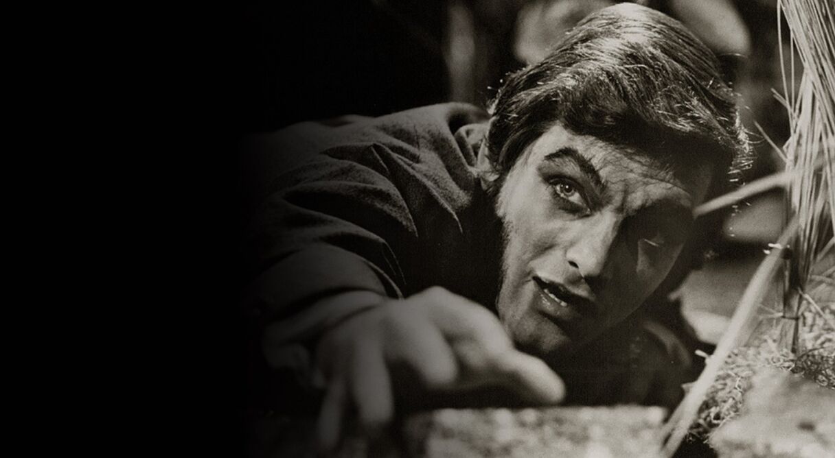 Dark Shadows: The Haunting of Collinwood