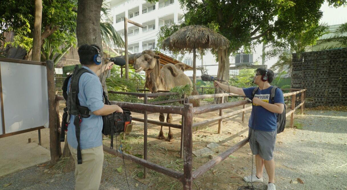 Death of the Sound Man