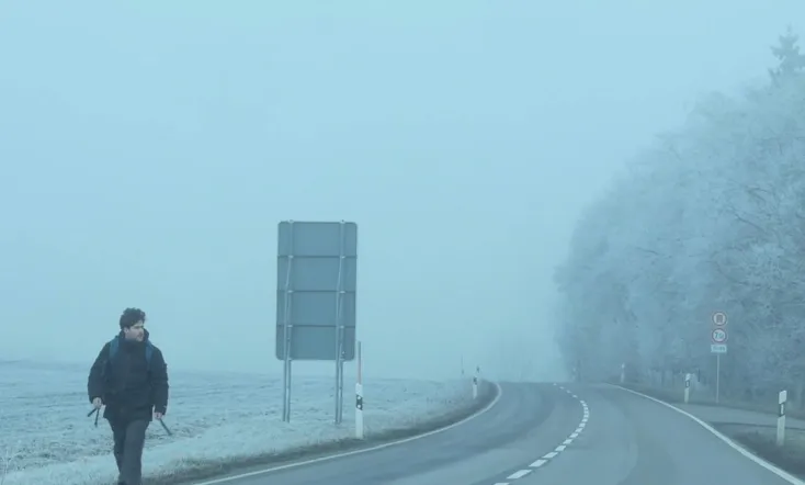 Dear Werner (Walking on Cinema)