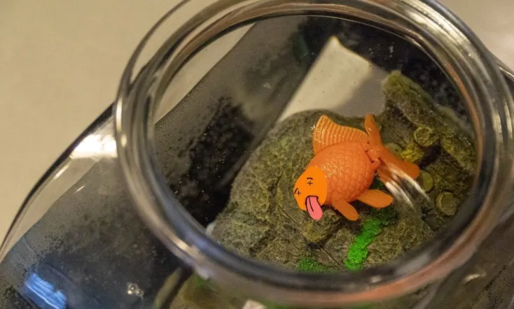 Death of a Goldfish