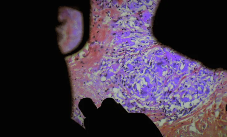 De Humani Corporis Fabrica