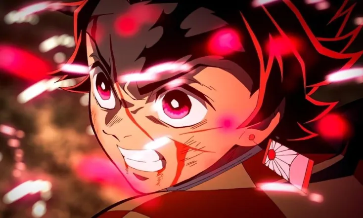 Demon Slayer: Kimetsu no Yaiba Mt. Natagumo Arc