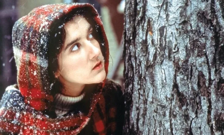 Des fleurs sur la neige