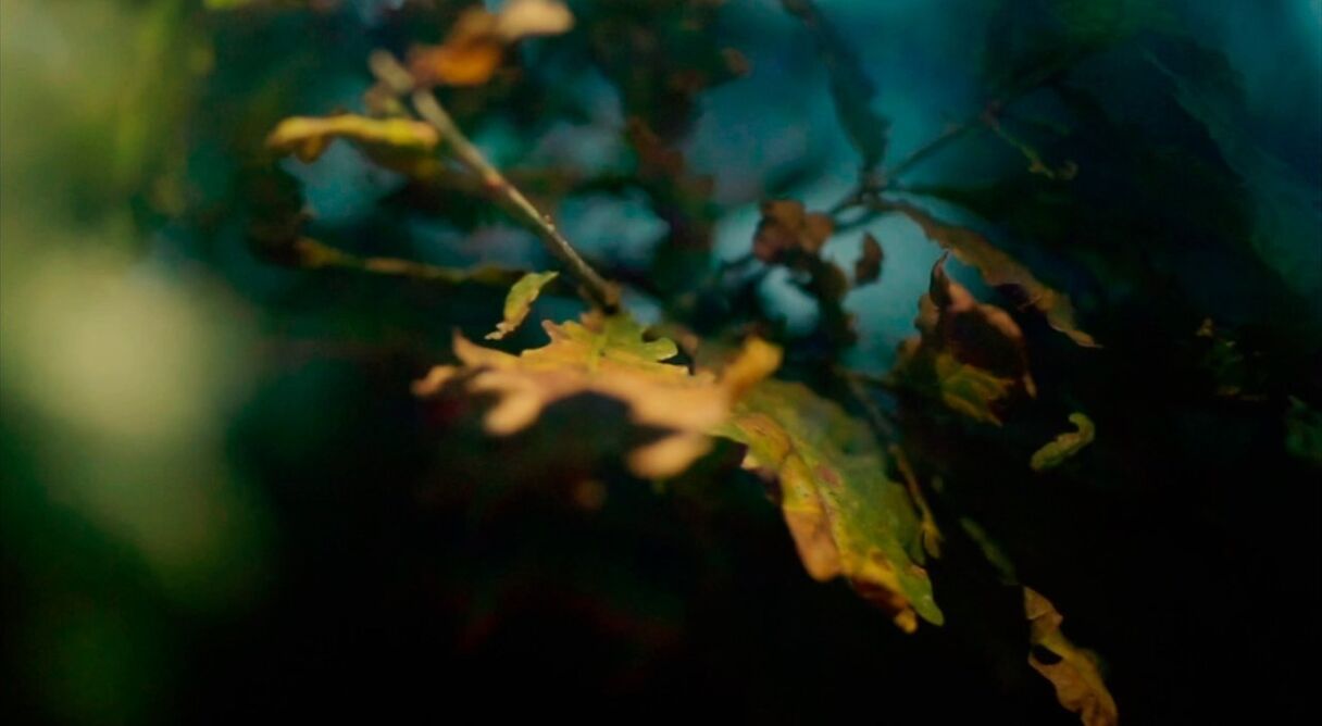 De sangue e cristais