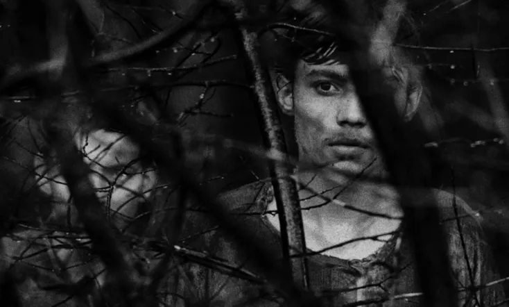 Diamonds of the Night