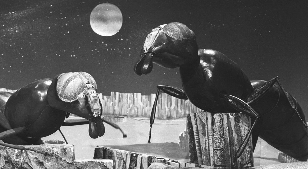 Doctor Who: The Web Planet