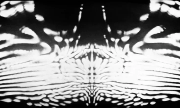 Doctor Who: The Sensorites