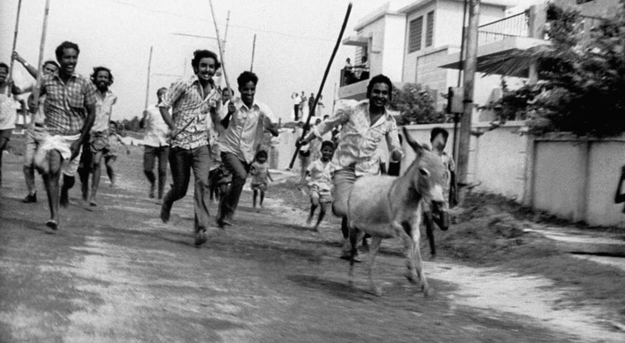 Donkey in a Brahmin Village
