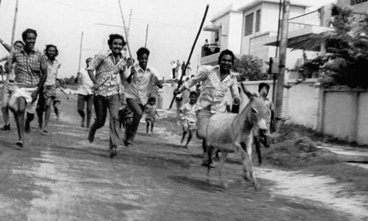 Donkey in a Brahmin Village