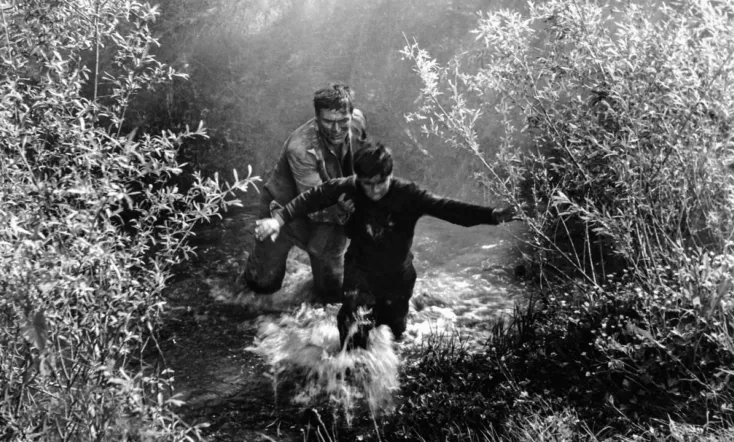 Don't Look Back, My Son