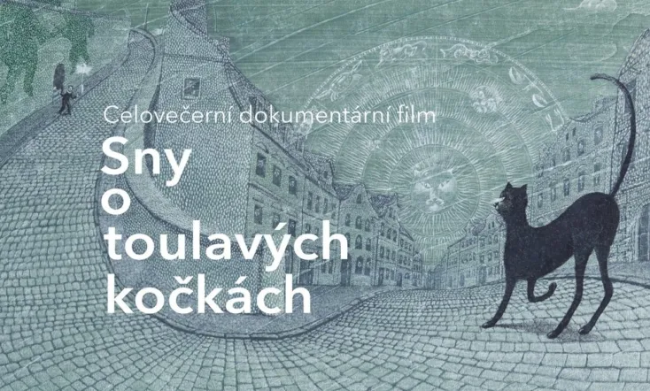 Dreams About Stray Cats