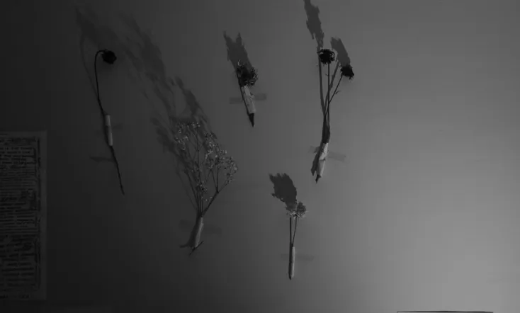 Dreams Of Rotten Memories