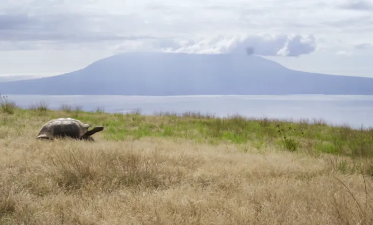 Earth: Seen From The Heart