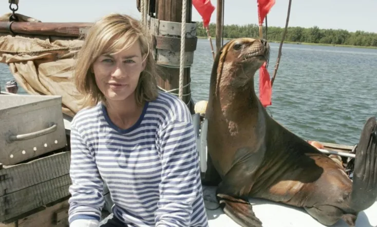 Eine Robbe zum Verlieben