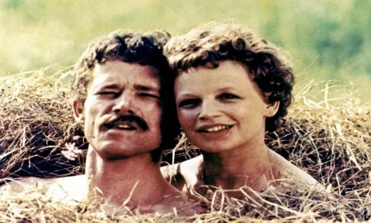 Ein irrer Duft von frischem Heu