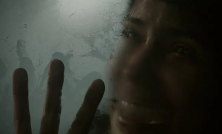 El cuidador del bosque