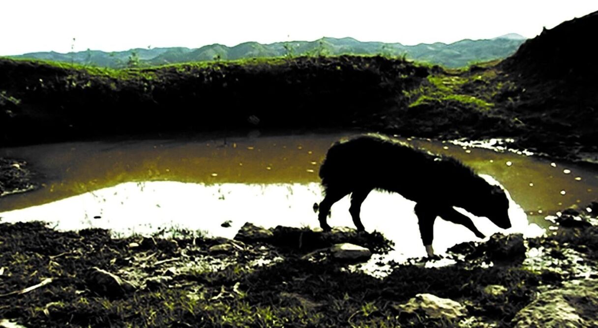 El Espacio Entre Las Cosas