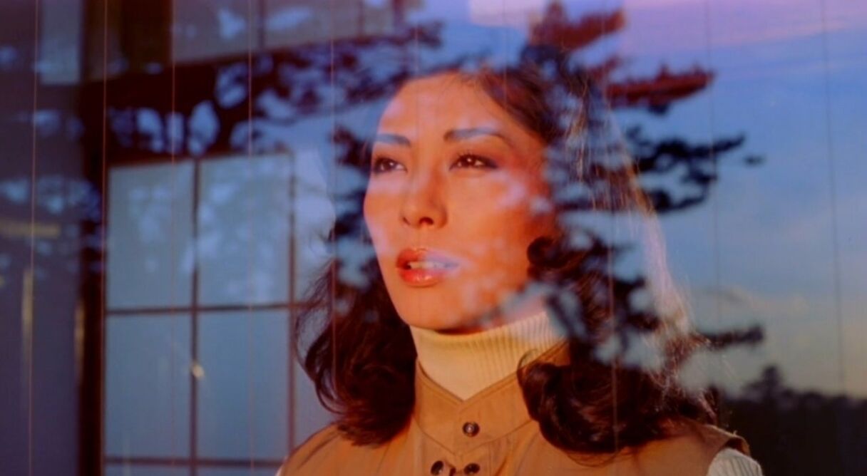 Embraced by the Dark