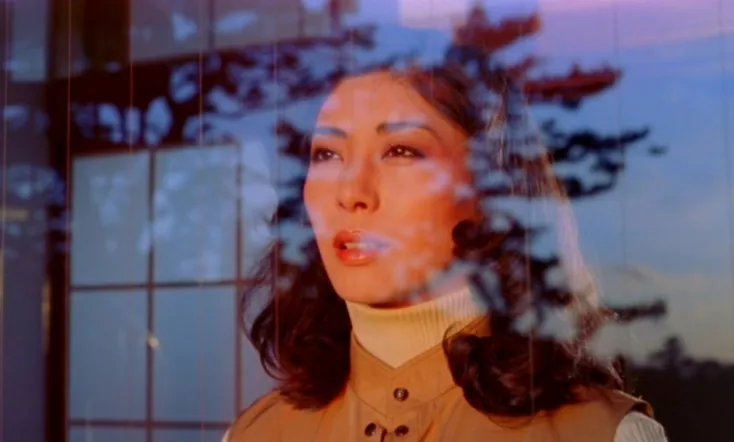 Embraced by the Dark